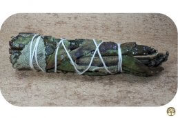 Smudge stick Yerba Santa ~ geurhout.nl