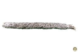 Smudge Stick Witte salie extra groot 50 cm ~ geurhout.nl