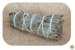 Smudge stick dennenboom ~ geurhout.nl