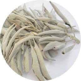 Witte Salie kopen ~ geurhout.nl