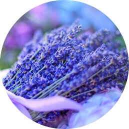 Lavendel producten ~ geurhout.nl